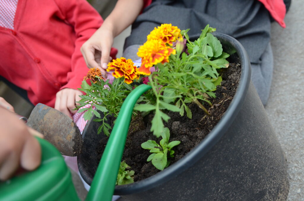 Children planting flowers