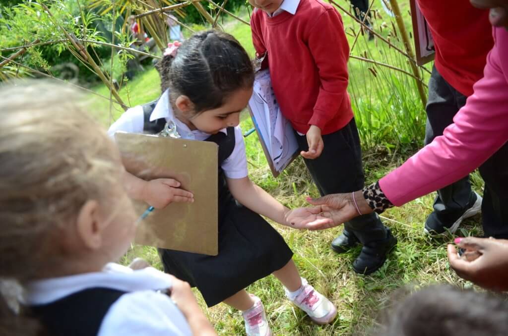 Children in the forest school, the teacher holds out a ladybird for a child to hold.