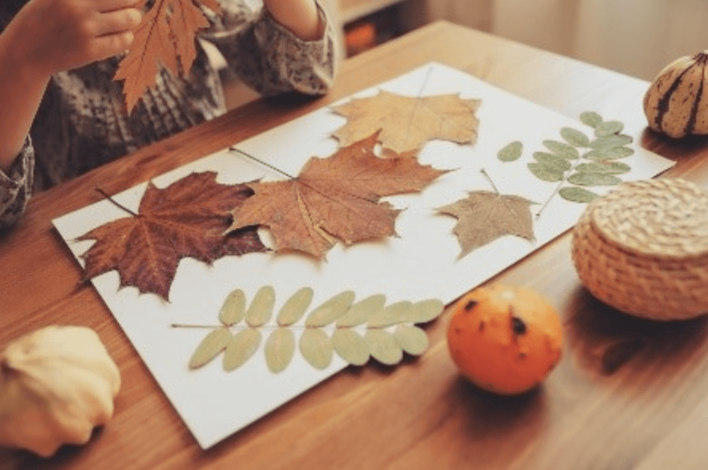 Children studying autumn leaves as part of the EYFS curriculum.