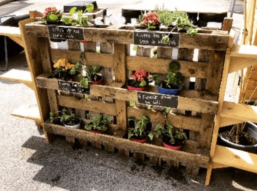 Plantpots in the EYFS playground.