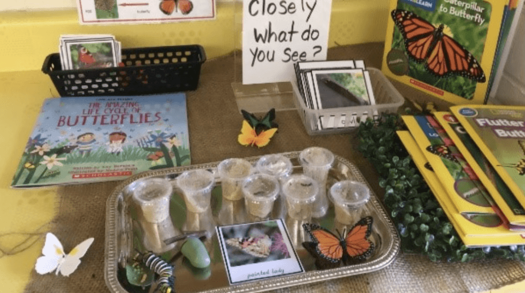 A butterfly display in the EYFS classroom.