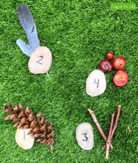 Natural materials including feathers, sticks, a pinecone and conkers labelled by EYFS pupils.