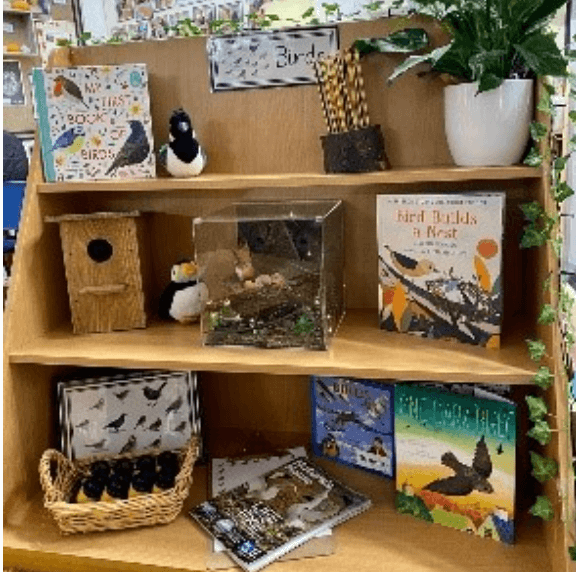 A bookshelf in the EYFS classroom showing books about birds.