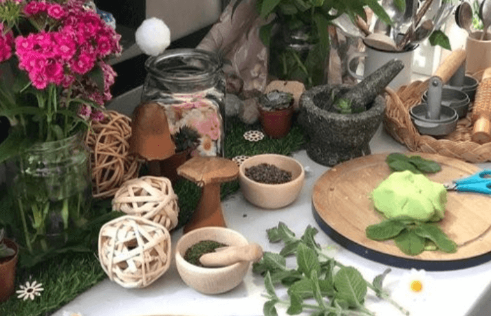 A display in the EYFS classroom that includes plants and mortar and pestles.