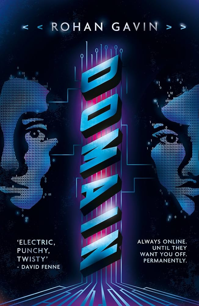 Domain book cover